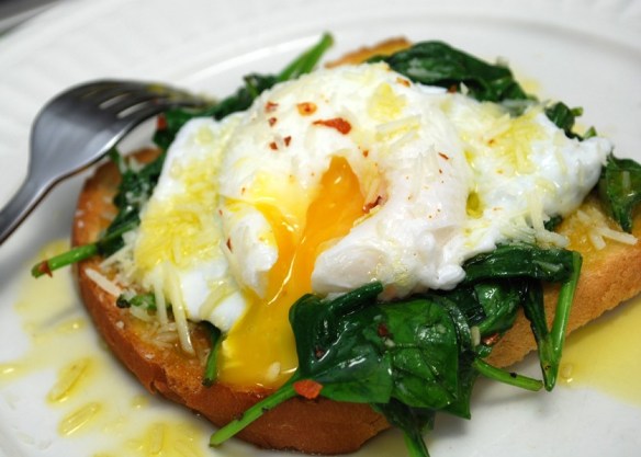 Every weekend, each time I cycle up the long Alpine hill at the northern end of Palisades Park, I keep hoping that a brunch feast like this will be waiting for me when I get to the crest and  then roll into at the rangers' station. I've been riding that hill for years now. Where are my damn poached eggs?