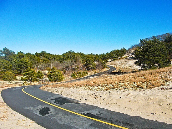 One of the Provincelands bike trails between Herring Cove and Race Point, Provincetown.