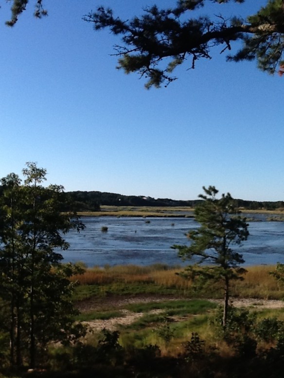 view of Drummer Cove