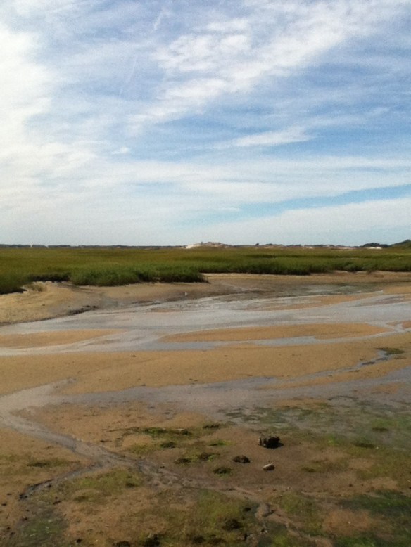 Another view of the West End marshes, Provincetown, at low tide. Love these colors.